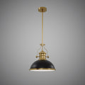 1 Lights 12-in Pendant Aged Brass/Matte Black  Dimmable 60W