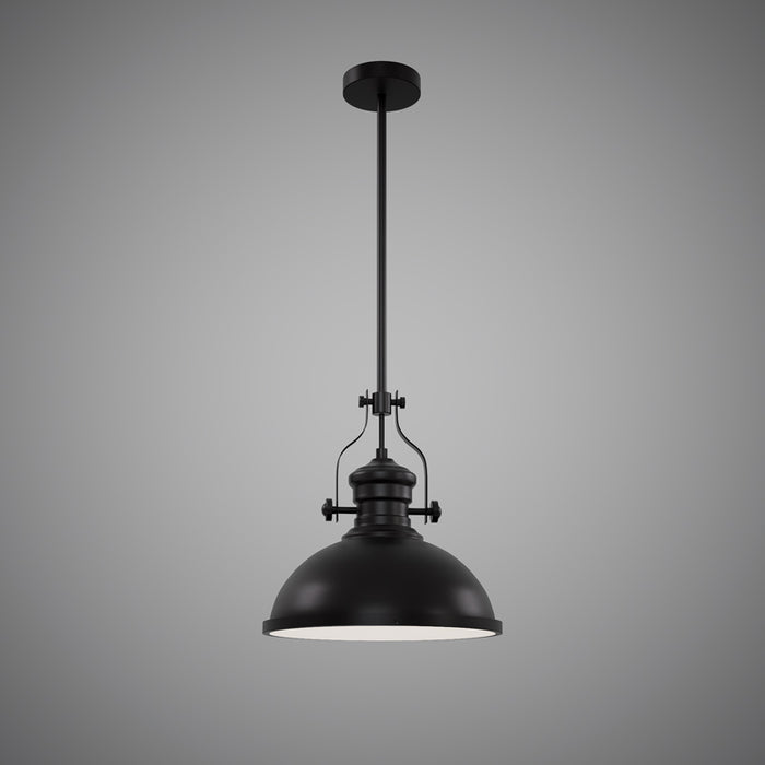 1 Lights 12-in Pendant Matte Black  Dimmable 60W