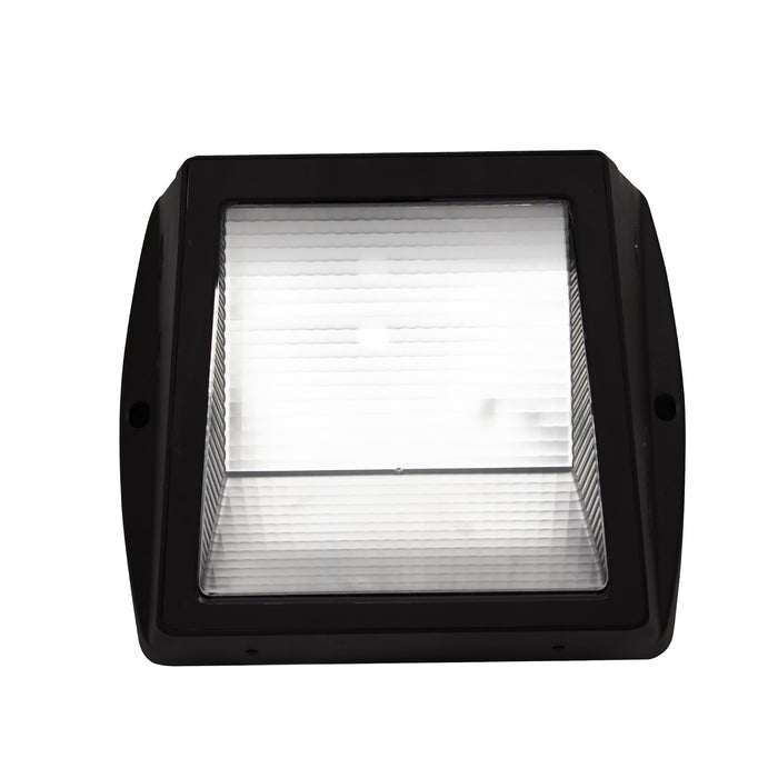 10.75-inch Bronze Outdoor Outdoor Wall Light
