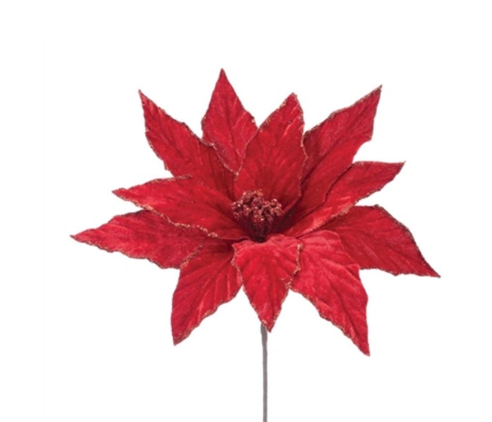12” POINSETTIA PICK