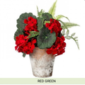 13” summer geranium/fern arrangement