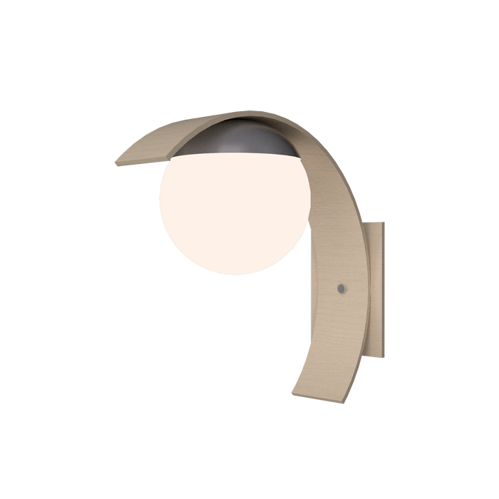 Organic Cappuccino