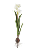 19.5 Inch White Real Touch Paperwhites Bulb Pick