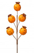 19.5" ORANGE W/CLOVE SPRAY X5