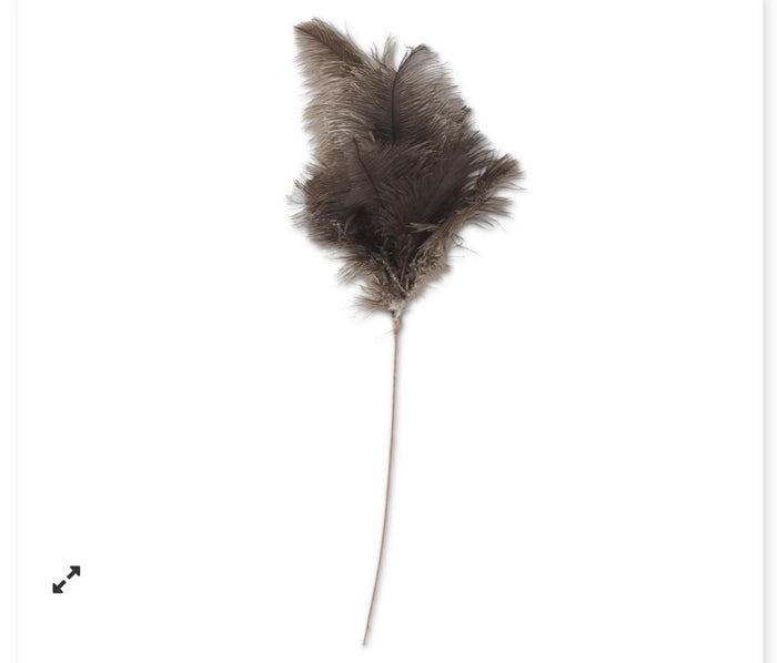 22 INCH BROWN FEATHER SPRAY