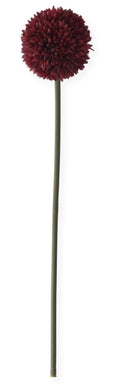 26 Inch Burgundy Allium Stem