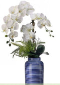 28" PTD AMALFI COAST PHALANOPSIS ORCHID