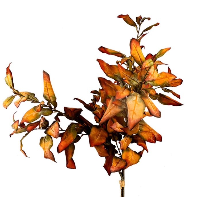 37" LEMON LEAF ORANGE
