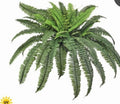 38" UV ESTATE BOSTON FERN X66 fronds