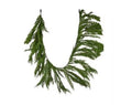 6'L CEDAR HANGING GARLAND
