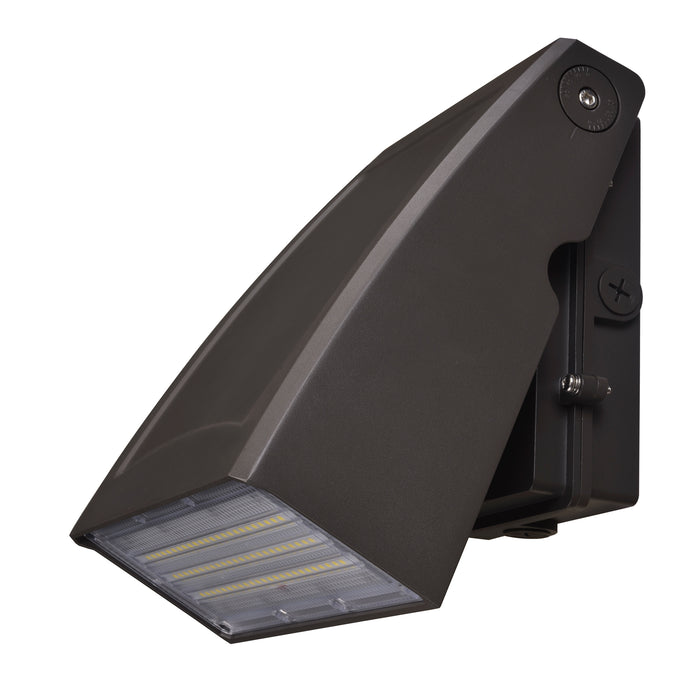 8.5-inch Oil Rubbed Bronze Outdoor Wall Light with 5000K Light