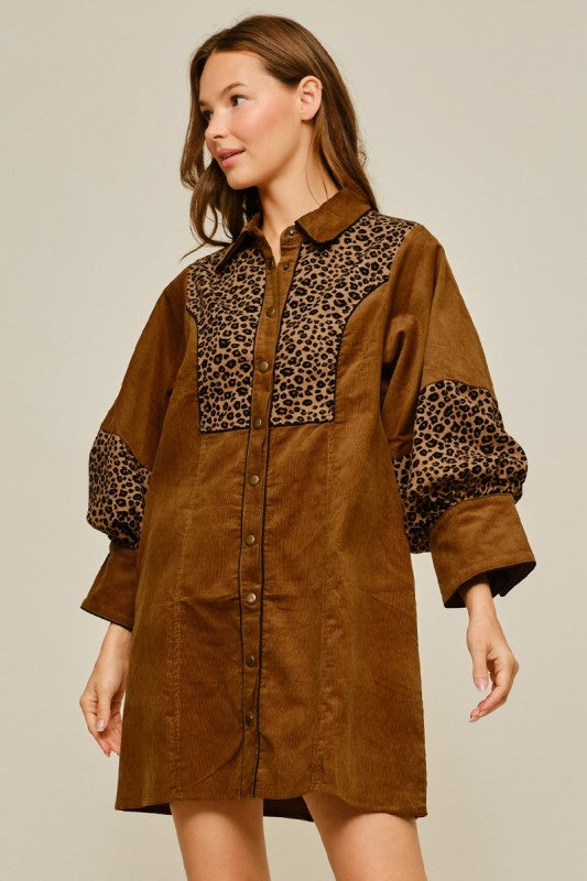 Animal contrast, button-down dress