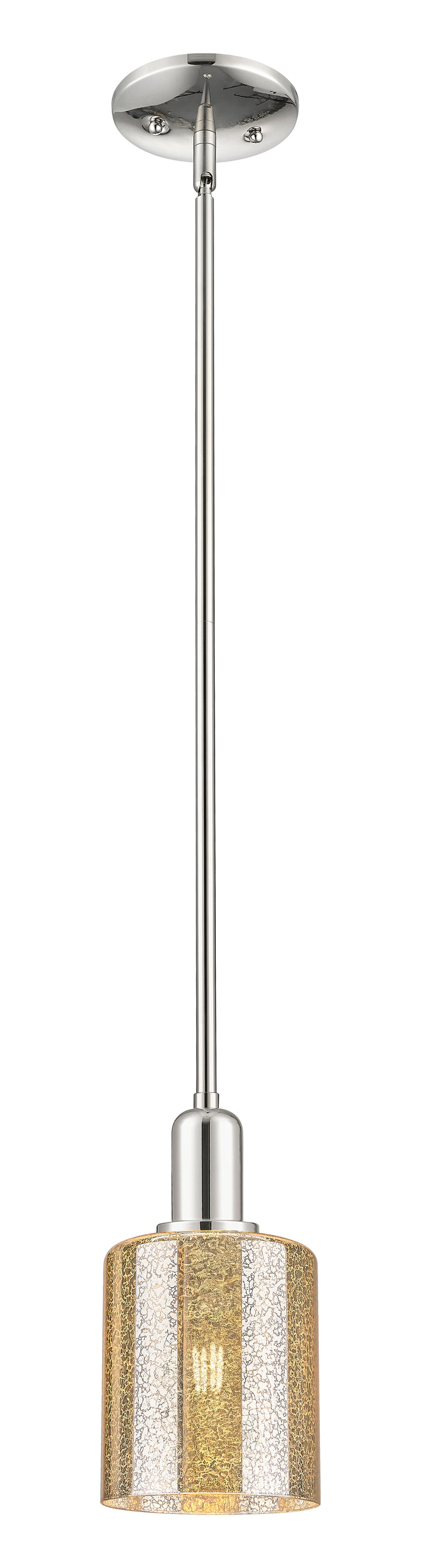 Polished Nickel / Mercury