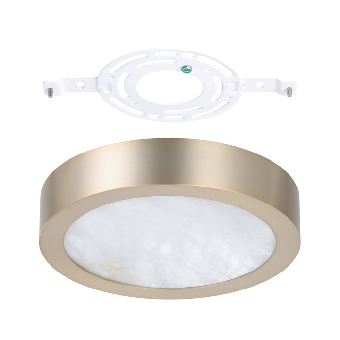 Argyle 8-inch Champagne Gold and Natural Alabaster 5CCT LED Flush Mount