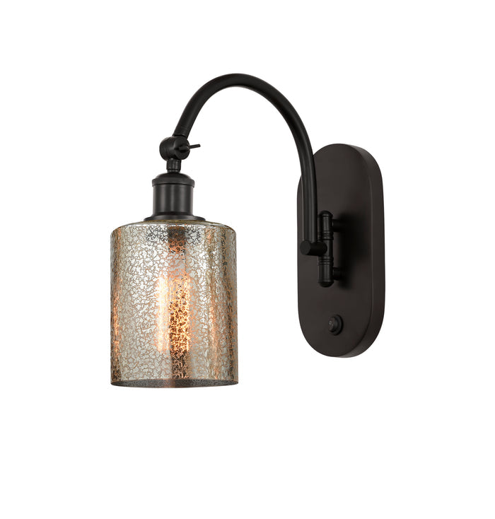 Oil Rubbed Bronze / Mercury