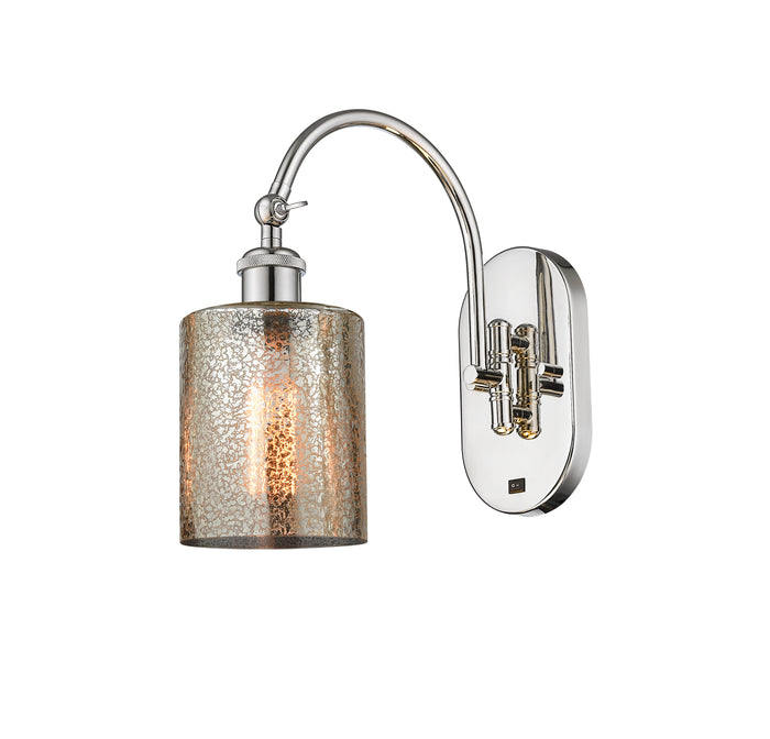 Polished Nickel / Mercury