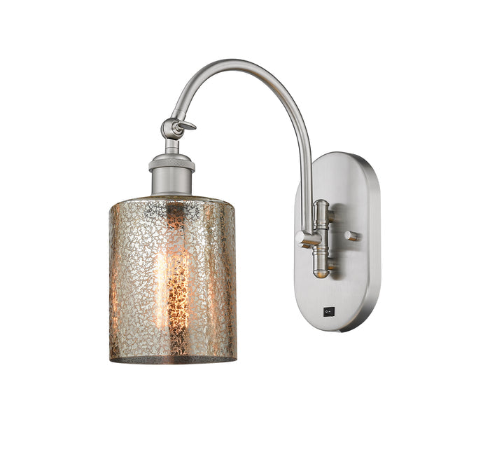Brushed Satin Nickel / Mercury