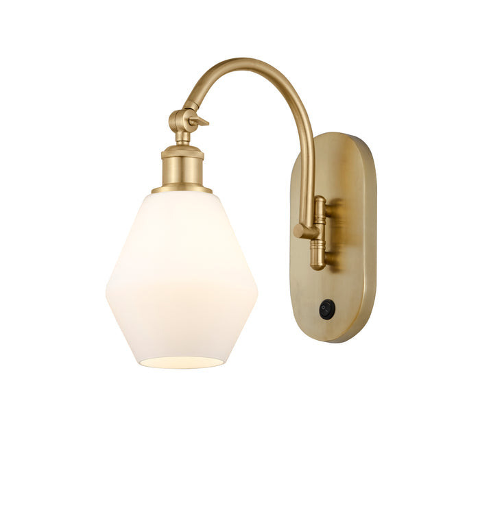 Satin Gold / Cased Matte White