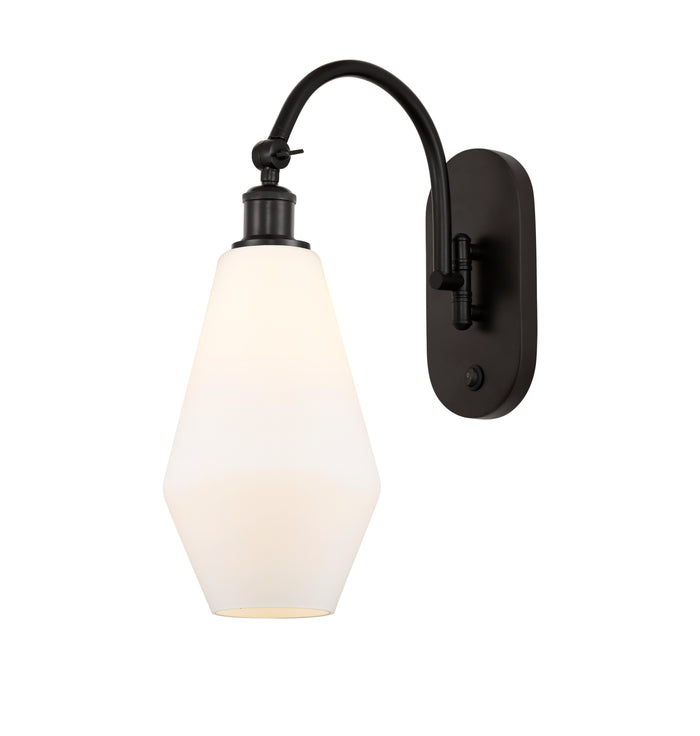 Oil Rubbed Bronze / Cased Matte White