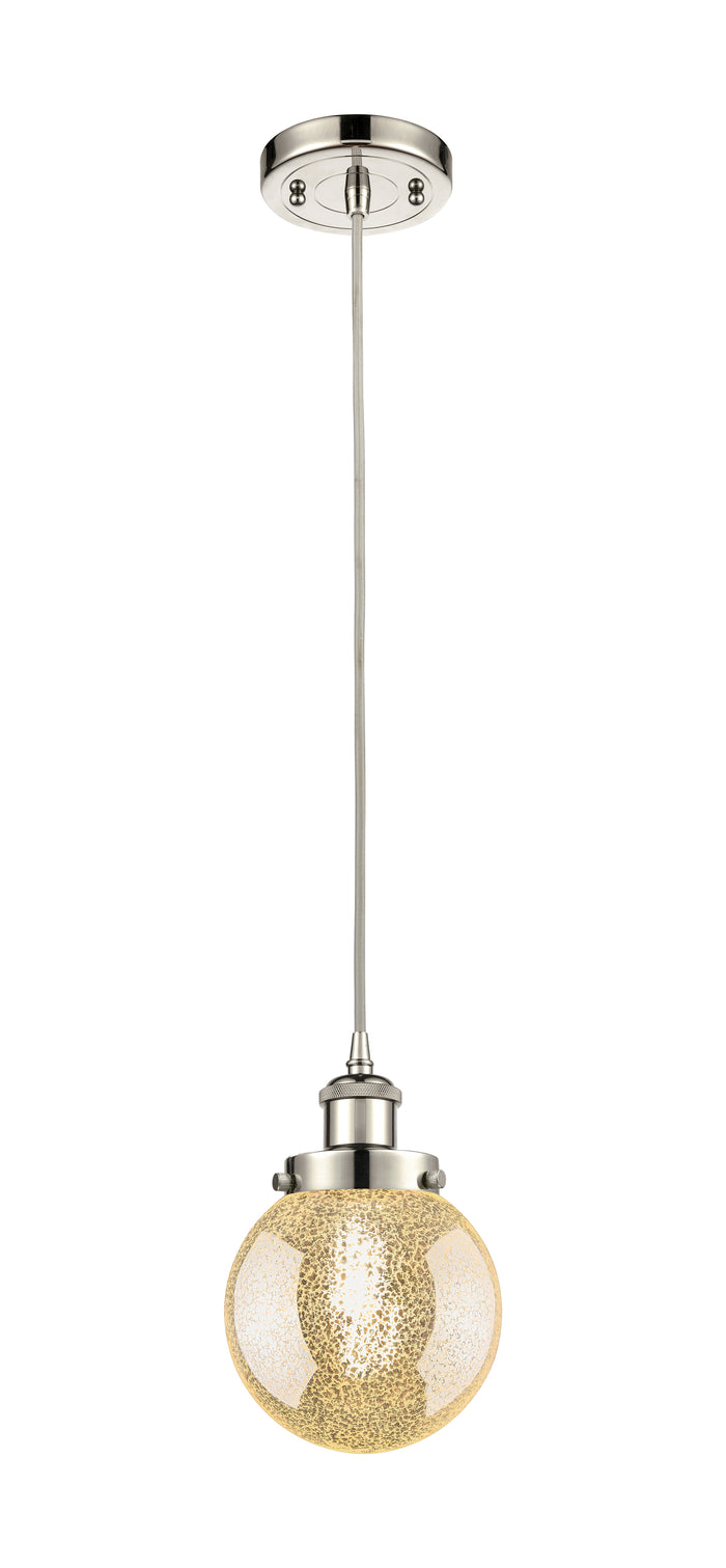 Polished Nickel / Mercury