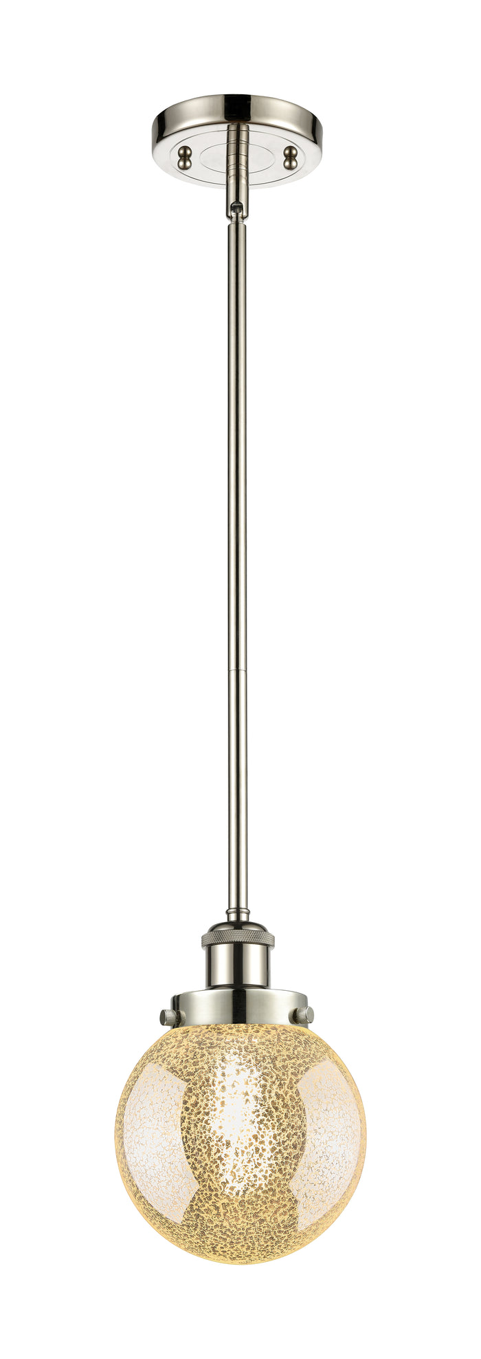 Polished Nickel / Mercury