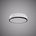Belmont 14-inch Matte Black Dimmable Flush Mount Ceiling Light