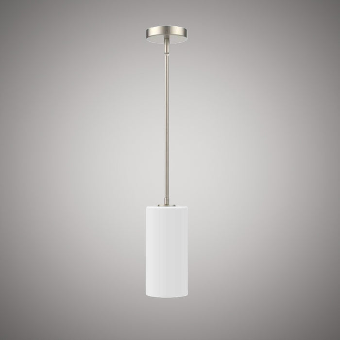 1 Lights  Blake Pendant  Brushed nickel  Dimmable 60W