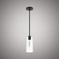 1 Lights  Blake Pendant  Clear Glass Matte Black