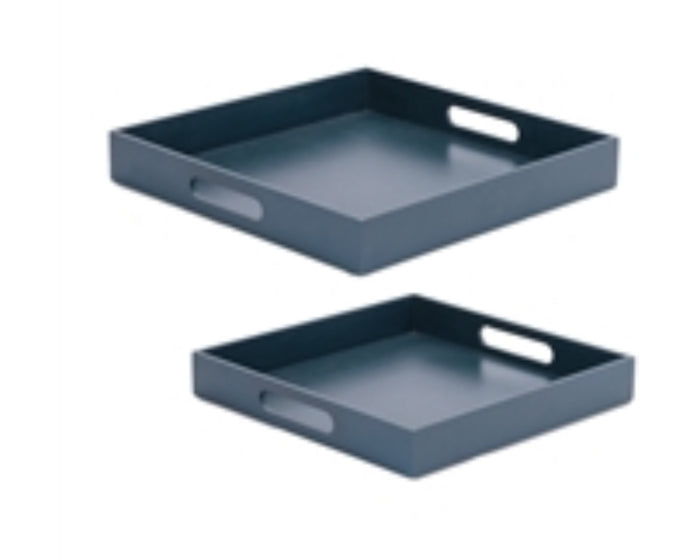 Blue tray