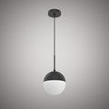 1 Lights Century 7-in Pendant Matte Black  Dimmable 60W