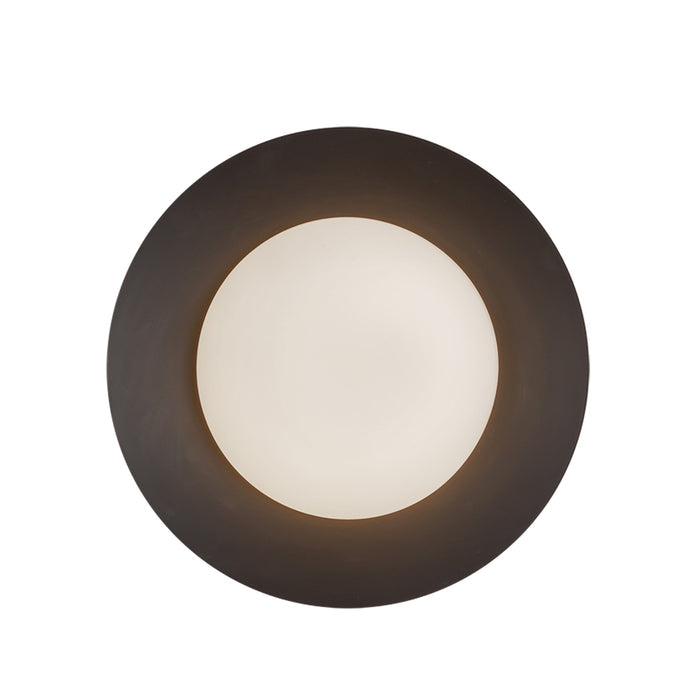 Cleo 9-in Steel Wall Sconce