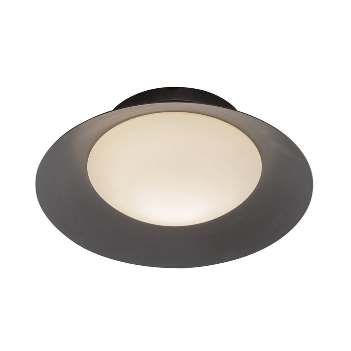 Cleo 9-in Steel Wall Sconce