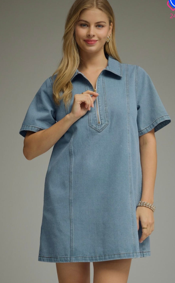 Denim collared dress
