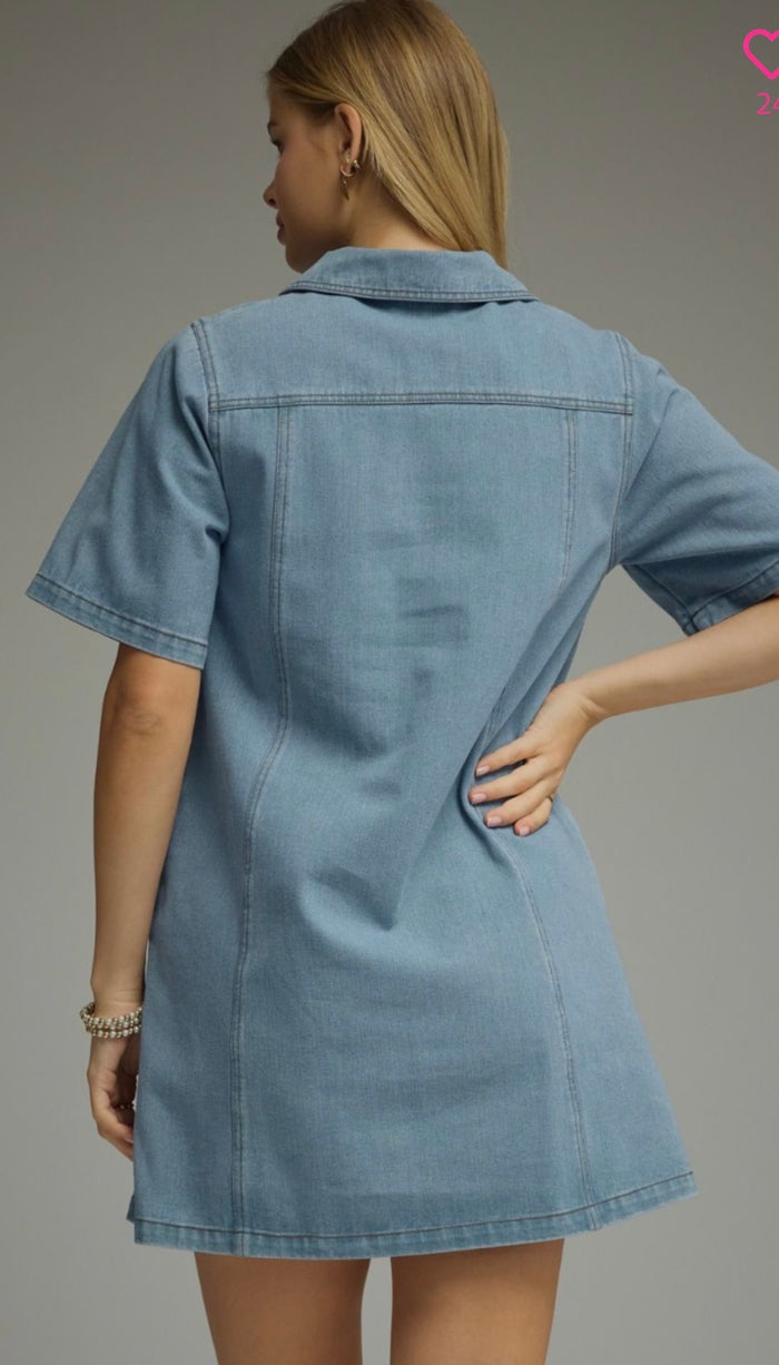 Denim collared dress