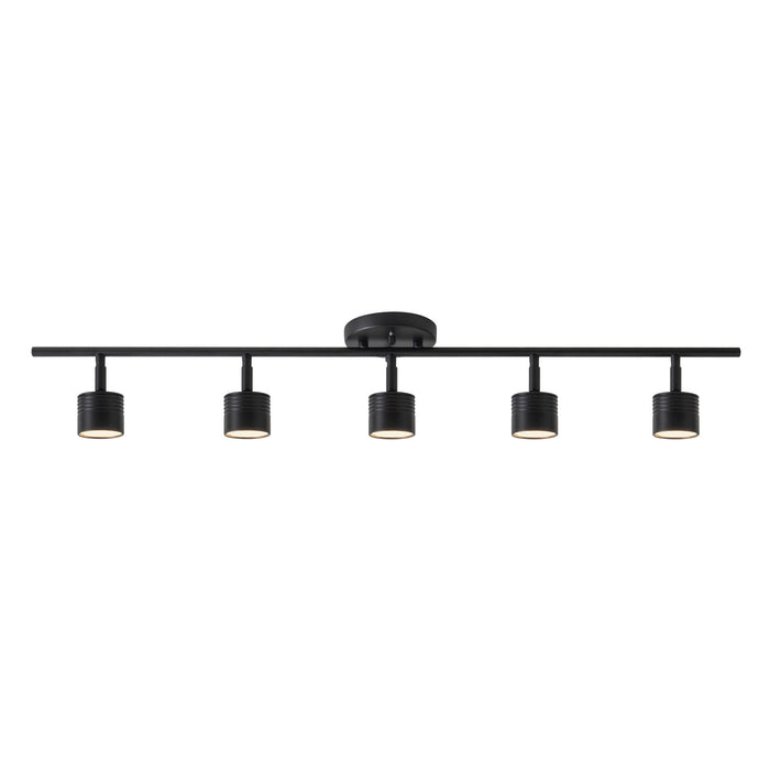 Denson 36-in Steel Track Light