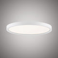 Disc 20-in  White  Dimmable 40W