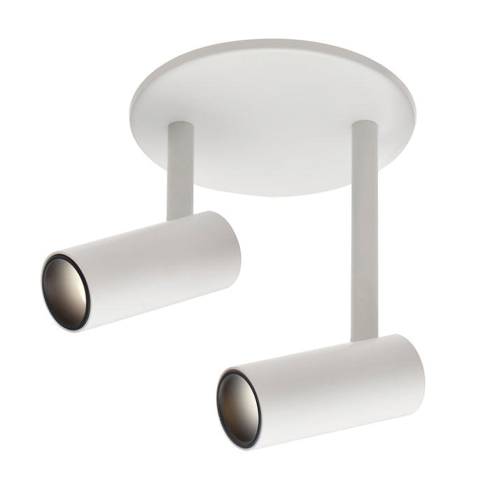 Downey 3-in Aluminum 2 Head LED Semi-Flush Mount