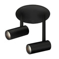 Downey 3-in Aluminum 2 Head LED Semi-Flush Mount