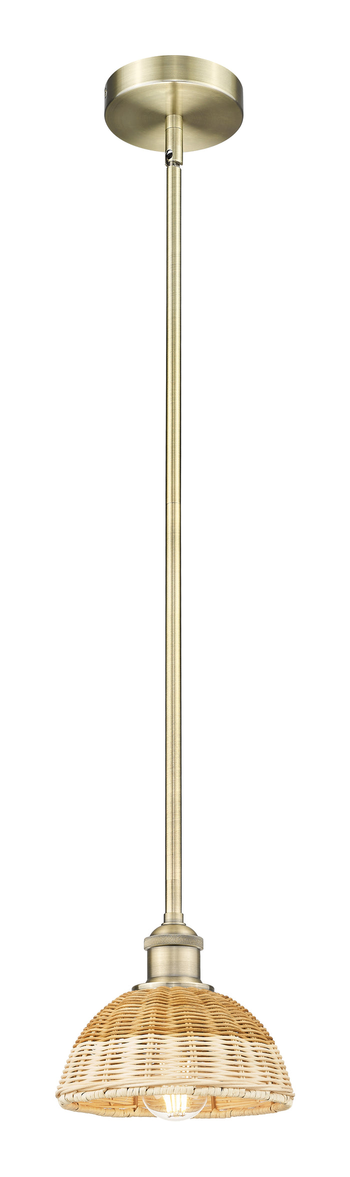Edison Mini Pendant Antique Brass Finish