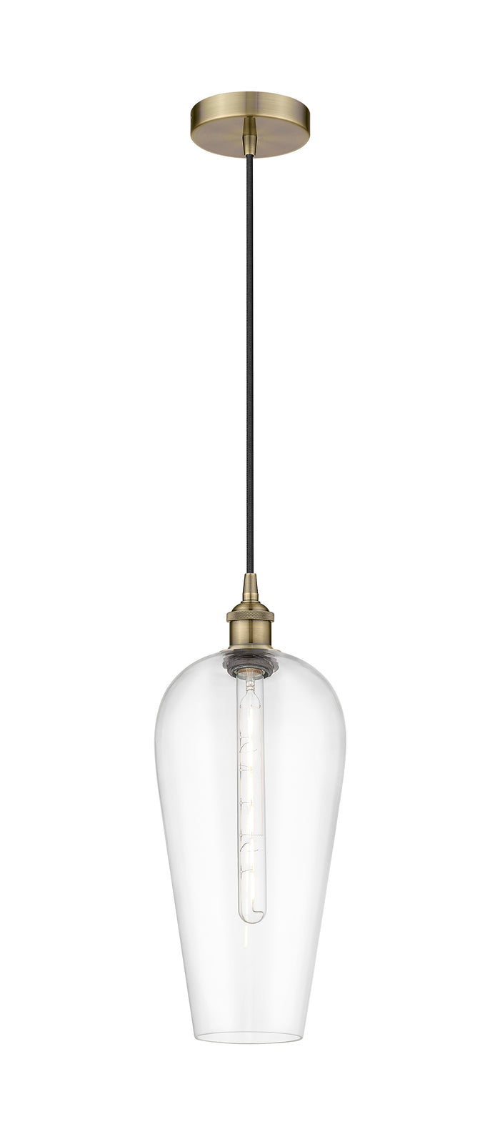 Edison Mini Pendant Antique Brass Finish