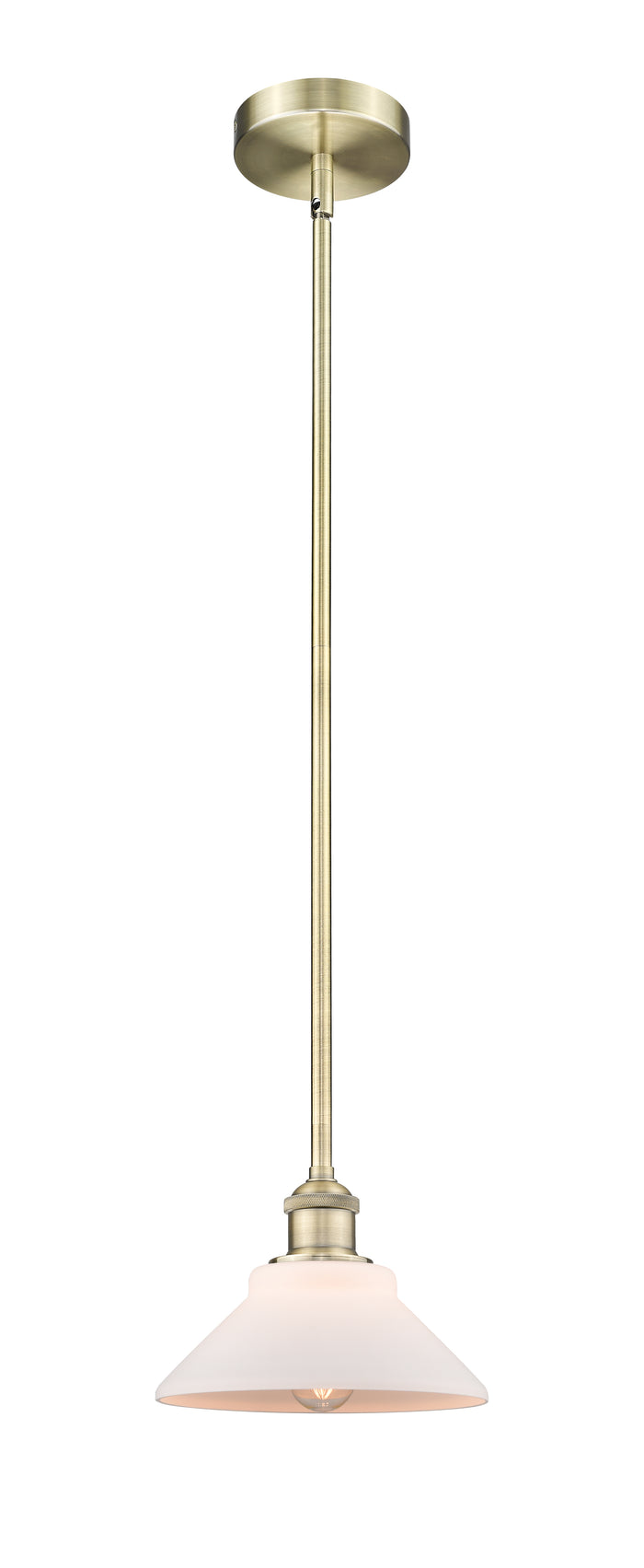 Edison Mini Pendant Antique Brass Finish