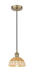 Edison Mini Pendant Antique Brass Finish