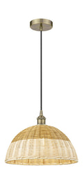 Edison Mini Pendant Antique Brass Finish
