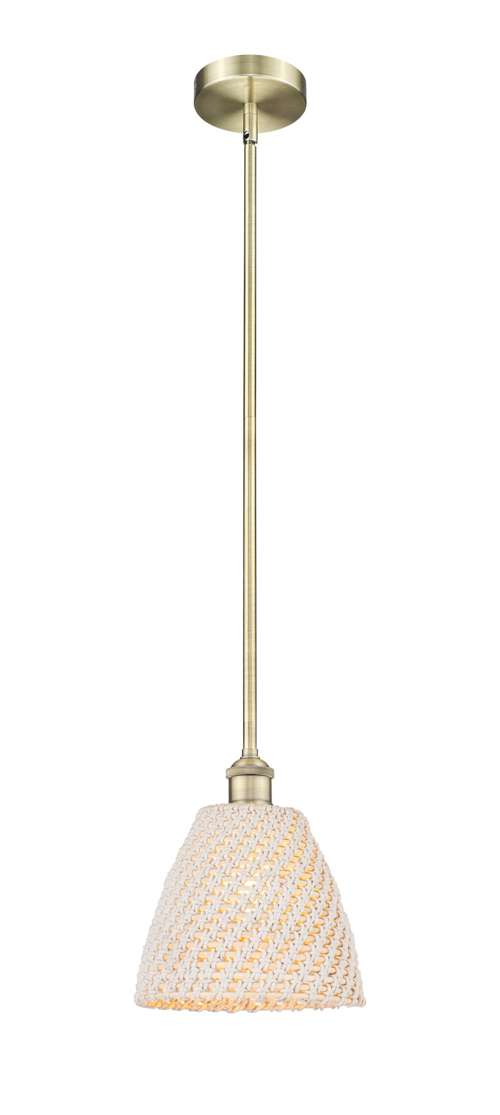 Edison Mini Pendant Antique Brass Finish
