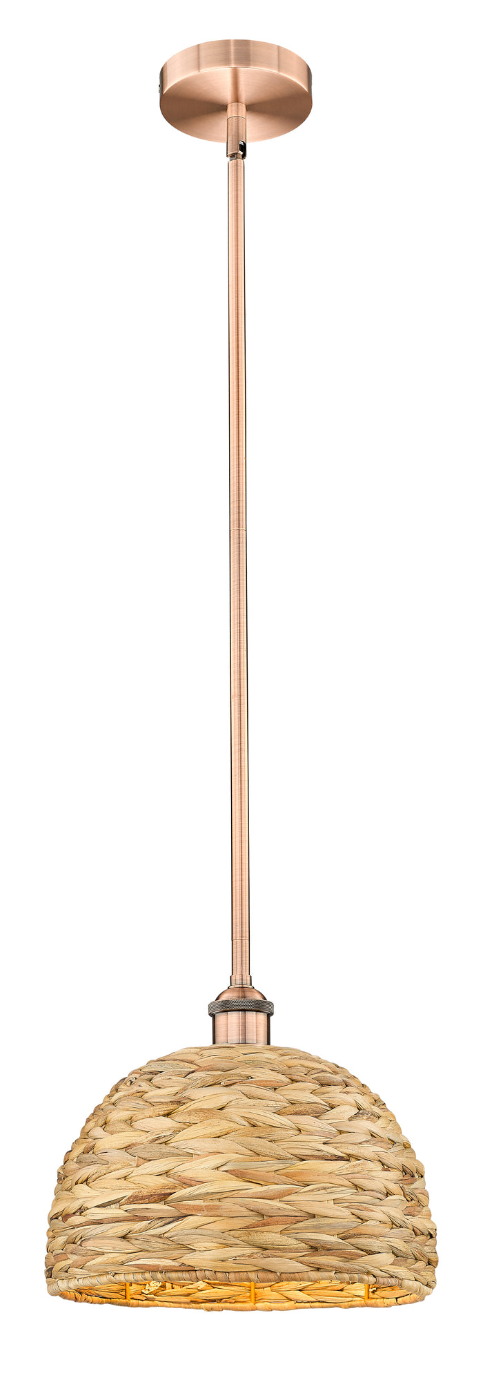 Edison Mini Pendant Antique Brass Finish