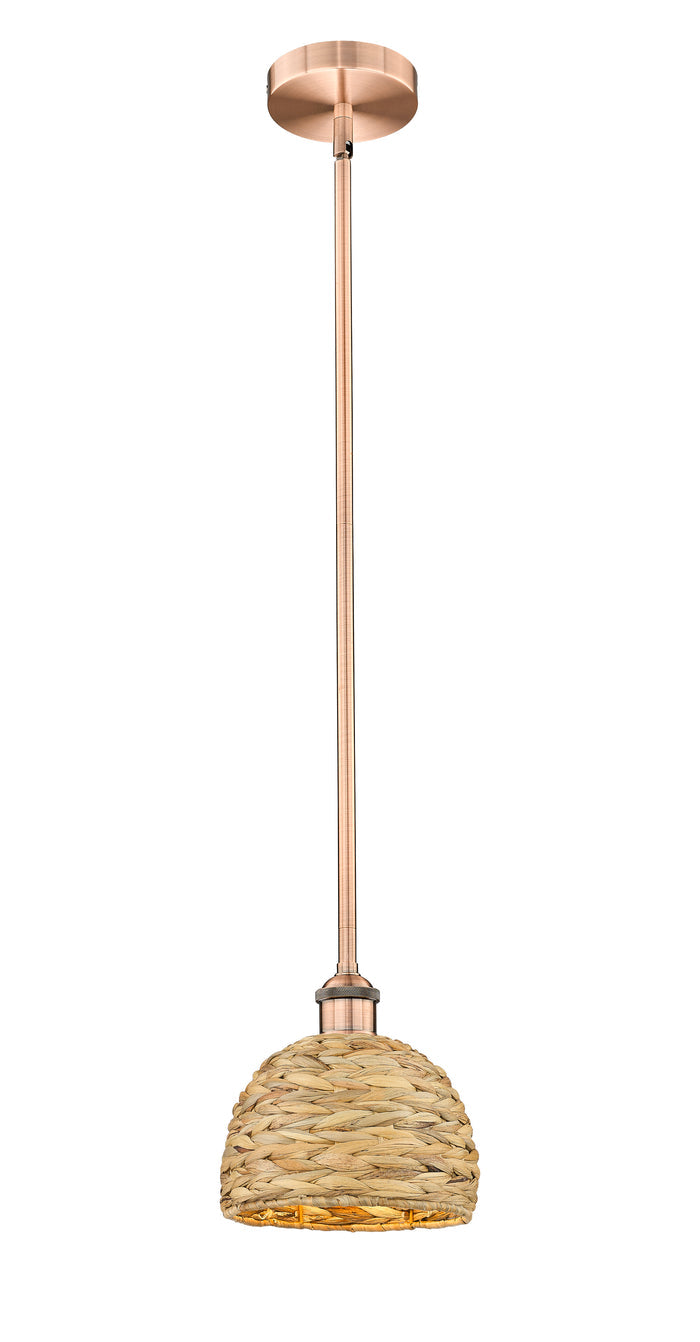 Edison Mini Pendant Antique Brass Finish