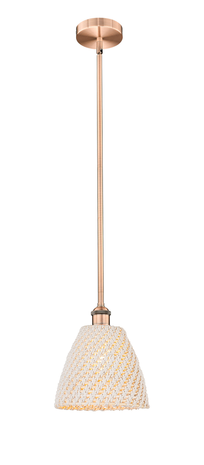 Edison Mini Pendant Antique Brass Finish