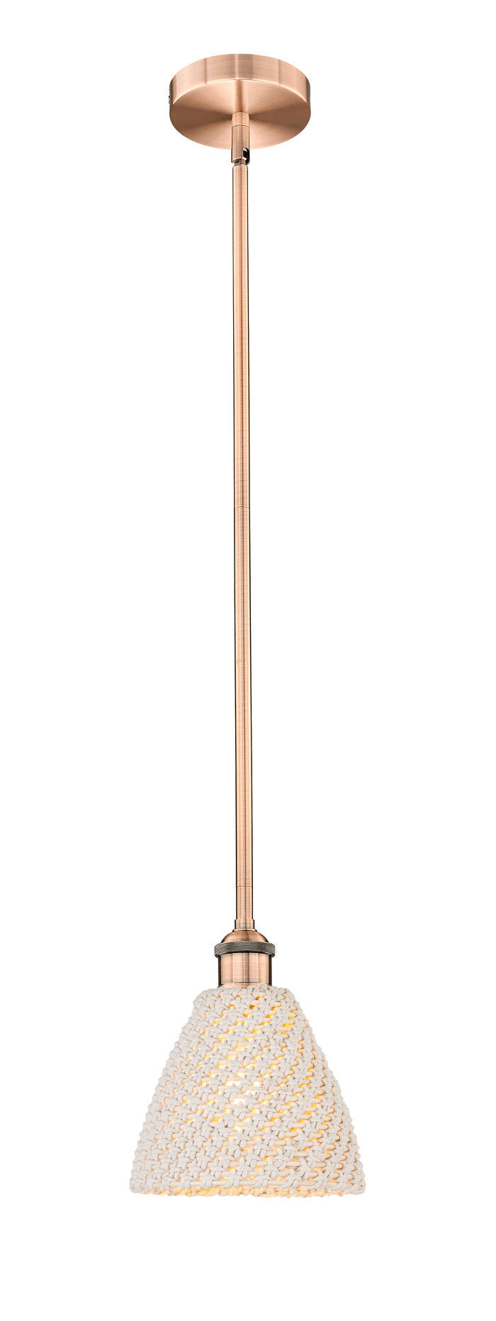 Edison Mini Pendant Antique Brass Finish