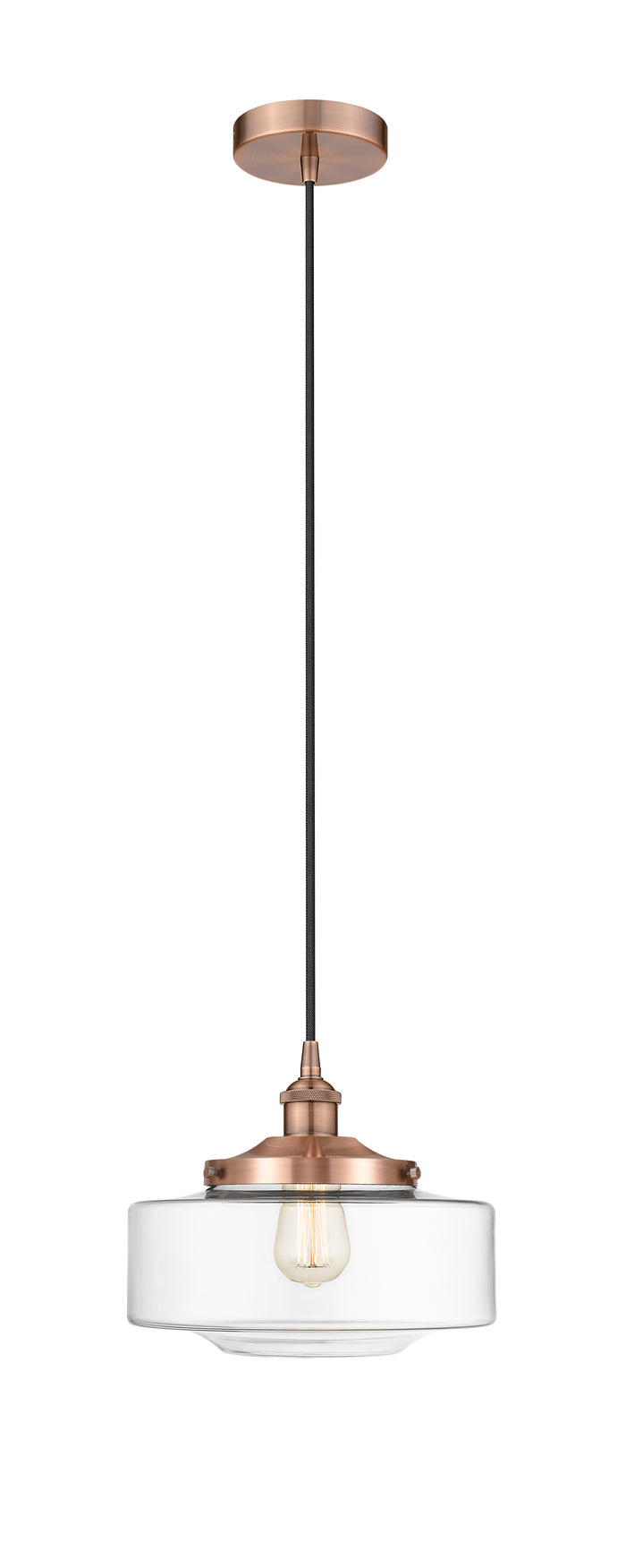 Edison Mini Pendant Antique Brass Finish