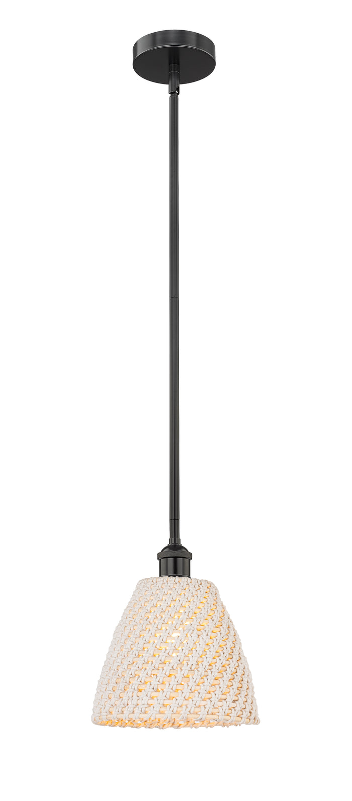 Edison Mini Pendant Antique Brass Finish